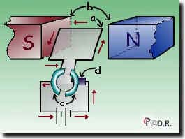 Armadura: vistas y detalles